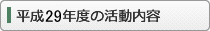 平成29年度の活動内容