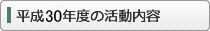 平成30年度の活動内容